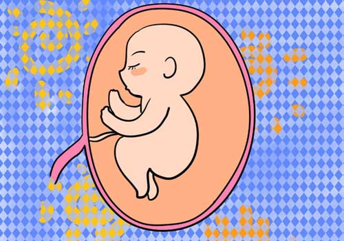为什么试管婴儿容易出血？试管婴儿和自然怀孕发育过程是一样的！