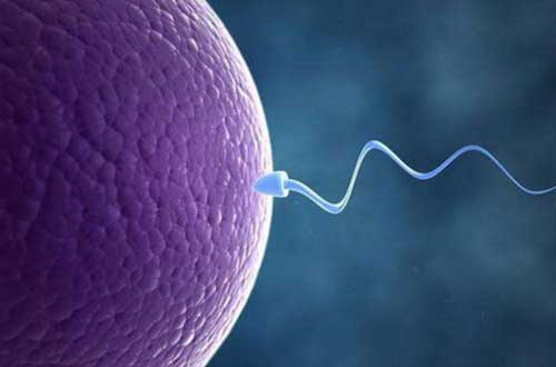精子率低能做试管婴儿吗？做试管是很好的选择！