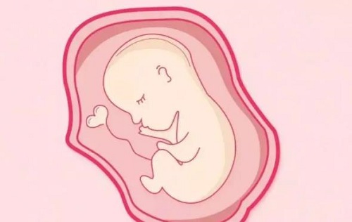 胚胎发育不好是什么原因导致的？胎儿不长是什么原因？