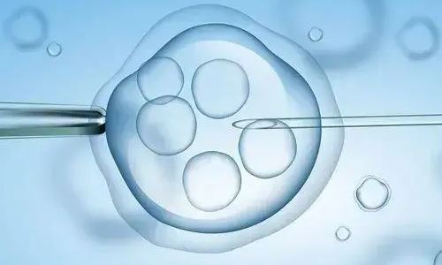 试管促排卵期间有分泌物正常吗？试管婴儿促排期间要注意些什么？